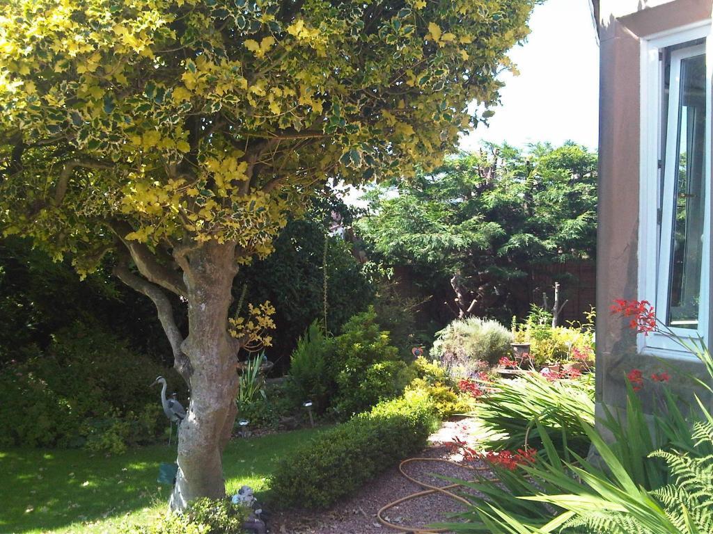 James Cottage Guest House Crieff Zewnętrze zdjęcie